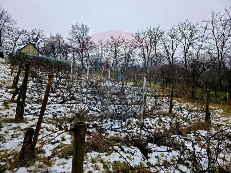 Teren intravilan 4,516mp Doina - 3