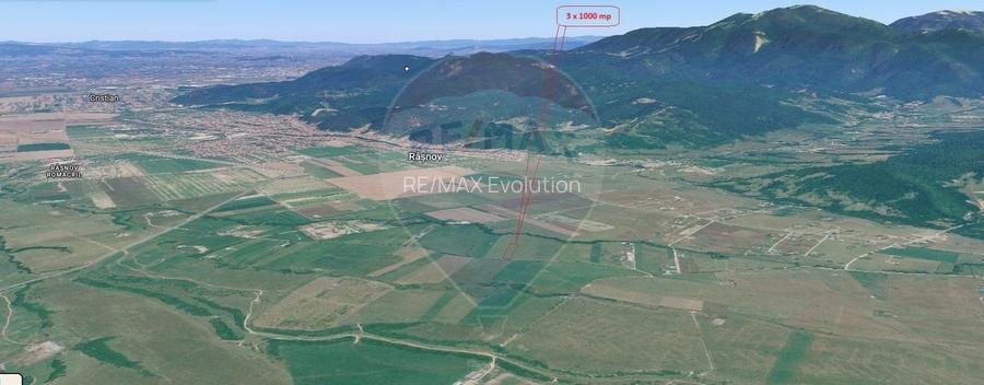 Teren 3000mp de vânzare în Râșnov / Pănicel - 14