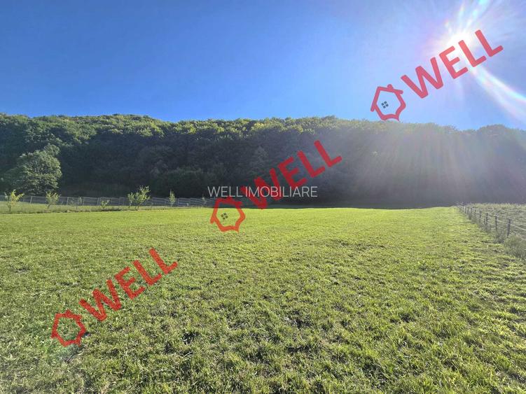 De vânzare teren de 2.782 mp în loc. Bixad - 4