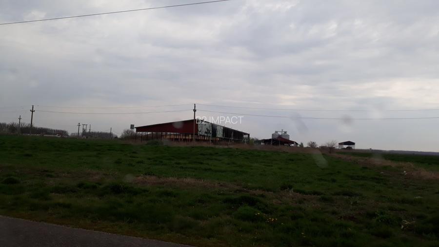 de vanzare Ferma Vaci - 15