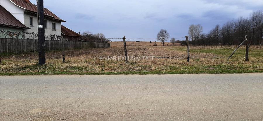 TEREN INTRAVILAN SI EXTRAVILAN POLOVRAGI - BENGEASCA - 7