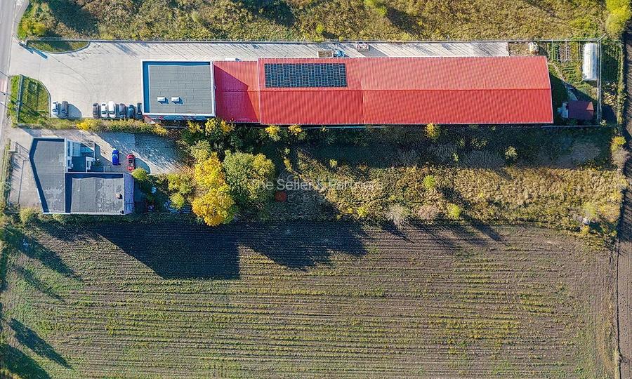 Sediu Firma - Showroom - 13