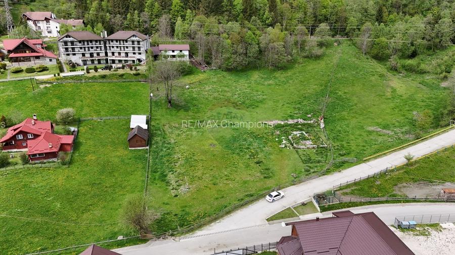 Intravilan | 10.000 mp| Sătic-Rucăr | Acces facil | Potențial excelent - 6