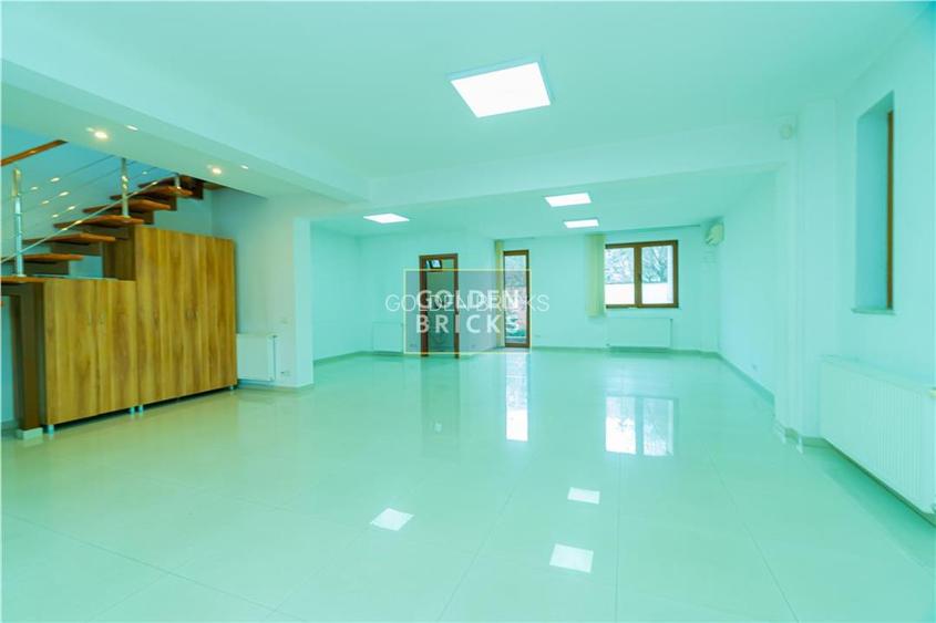 Piata Victoriei | Parter si etaj in vila | Garaj | 160mp - 10