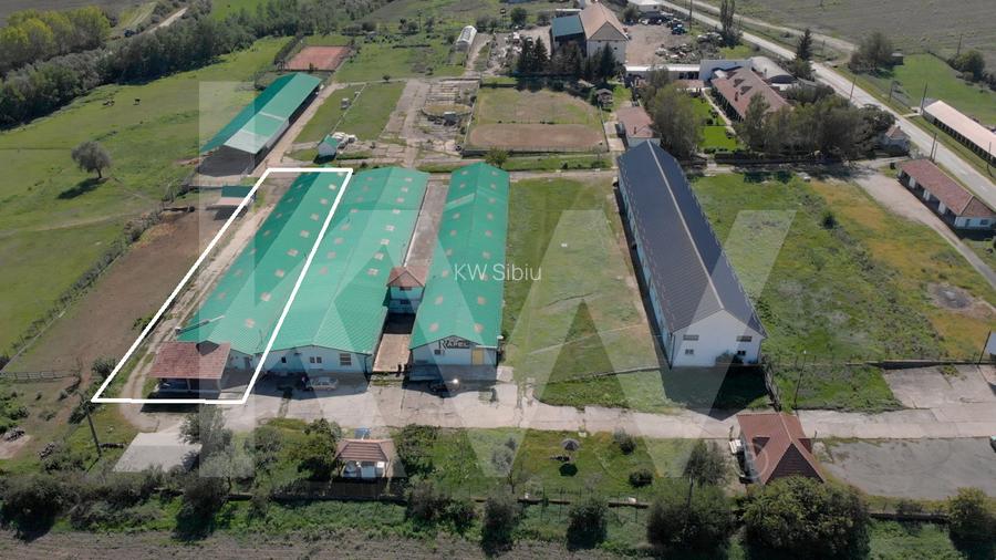 Hală industrială depozitare productie 826mp Sebeș - 6