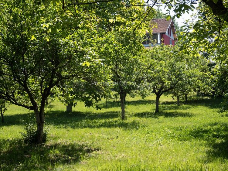 VANZARE DOMENIU CU DESCHIDERE  LA LACUL SNAGOV - 3