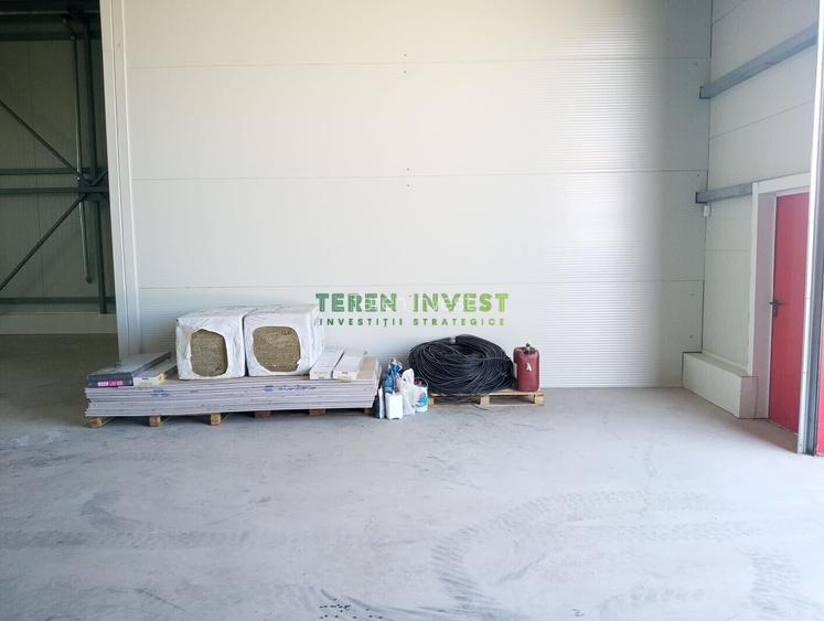 VÂNZARE HALĂ  - DN 4/ȘOS. OLTENIȚEI - 14