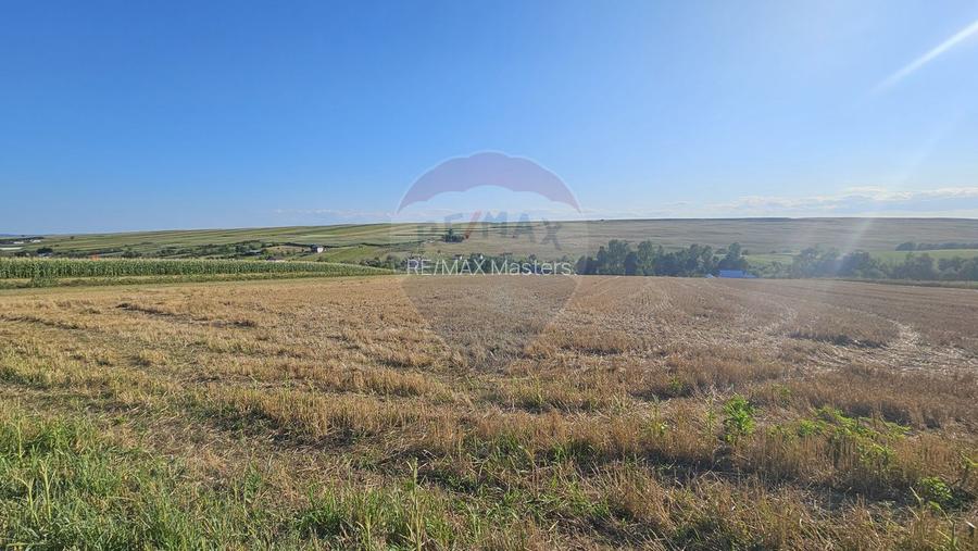 Teren intravilan, 7500 mp in Moara Carp / Strada Eternitatii-Suceava - 8