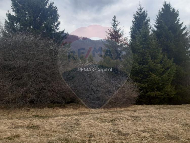 Teren Rasnov, Soseaua Predealului DN73B - 6