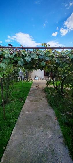 Teren vânzare zona Viile Noi - 4