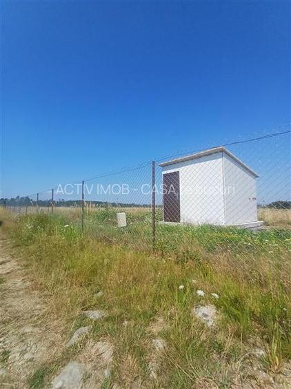 Teren intravilan de vanzare cu fantana si curent electric pe teren - 3