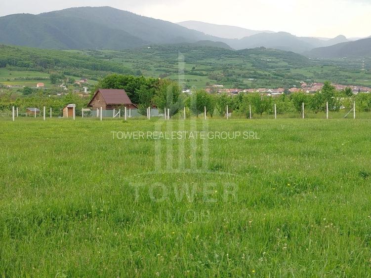 Teren de vinzare in Tropini Vechi - 4