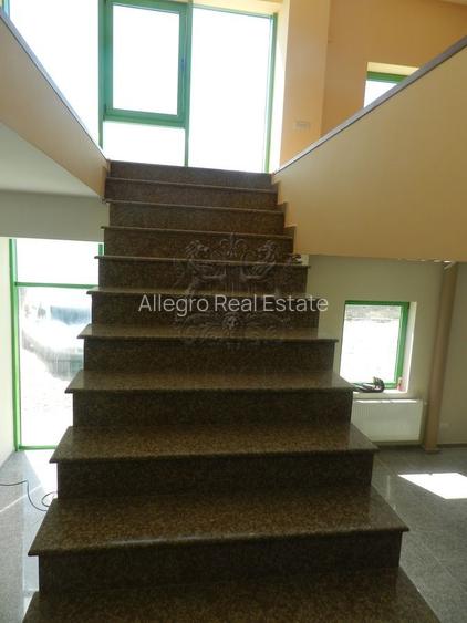 Hala | Soseaua Odai | Mogosoaia | (350 mp depozit / 236 mp birou) - 5