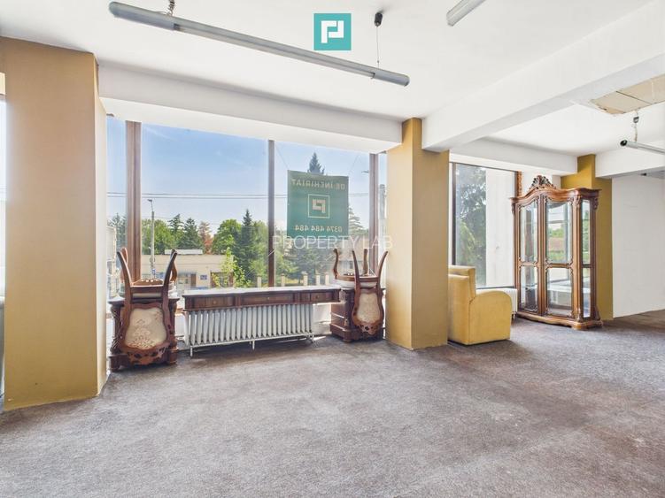 SAD – Calea Aradului, vad excelent - 9