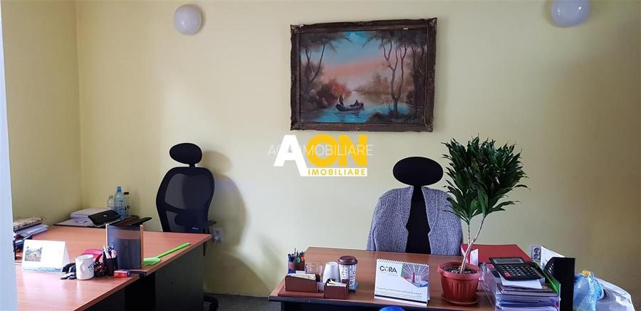 Casa ideala pentru transformare in pensiune - 34