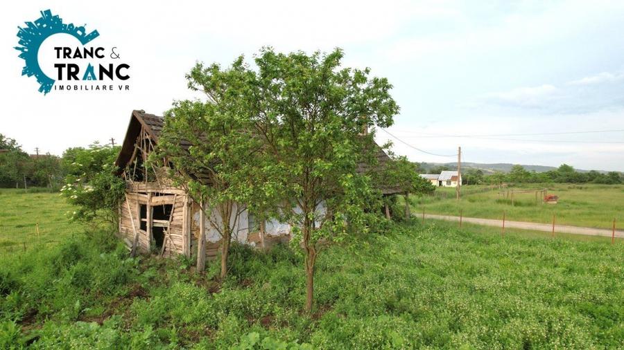 COMISION 0% Hala noua de 317 m2, intr-o zona feerica, in Ususau