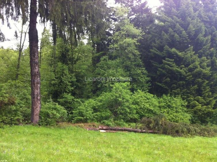 Teren intravilan Cotul Donului,pretabil Hotel/pensiune. - 8