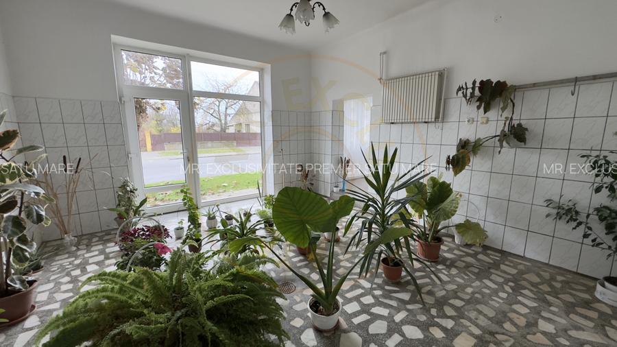 Casa 7 camere cu Teren 4.620 mp | Potential pentru rezidenta sau afacere | Carei - 17