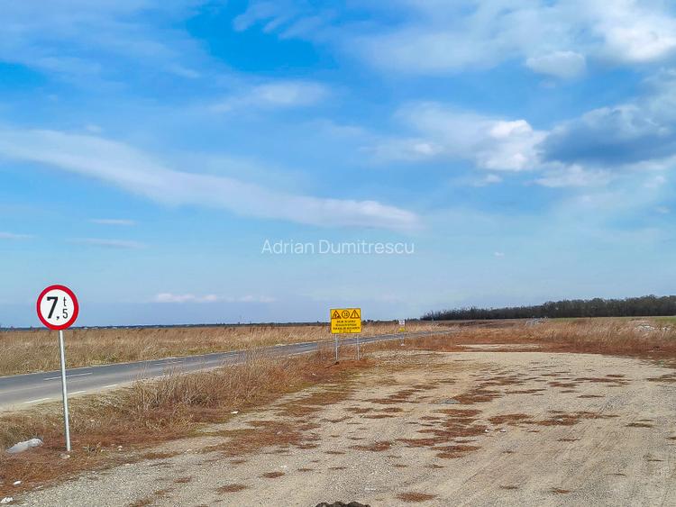 Teren intravilan la asfalt si statie autobuz Ilfov Cernica Posta - 5