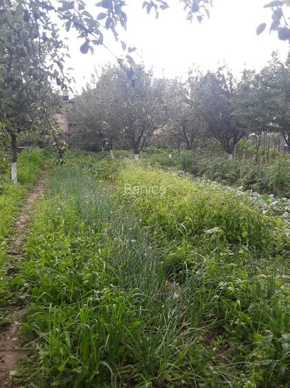 Casa situata  la poalele dealurilor subcarpatice in zona pomicola. - 15