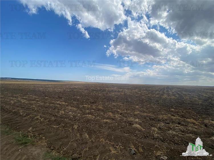 Teren extravilan in Mihail Kogalniceanu, Constanta - 4