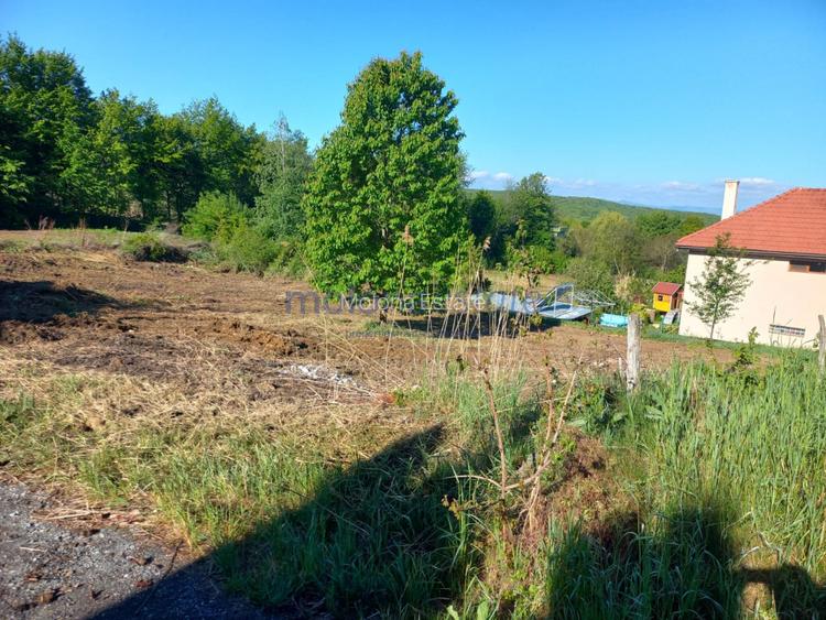 Teren autorizat Faget / Zona Vila Tusa / PUZ Aprobat - 2