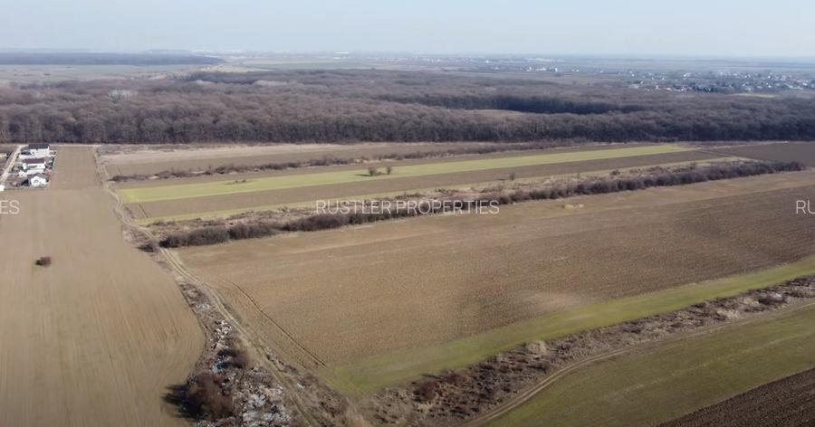 Teren de Vanzare pentru Dezvoltare Imobiliara in Bolintin-Deal - 2