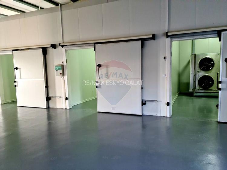 Teren agricol 13,1 ha + Hală 700 mp + Utilaje Agricole - Piscu, Galati - 15