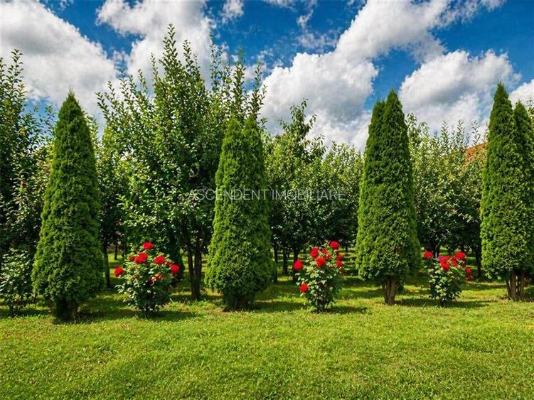 Pretios teren intravilan 1.409 mp, livada, utilitati,rezidential/ comercial, zon - 5