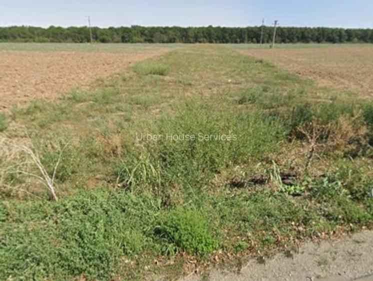 De vanzare 2700 mp teren intravilan/6.900 mp teren extravilan Ganeasa - 4