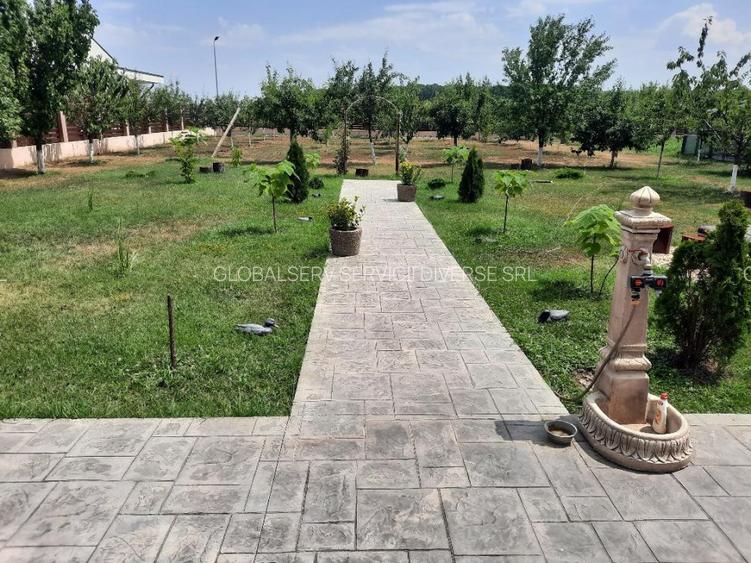 FARA COMISION casa 4 camere 2 bucatarii 2 puturi beci livada 1500mp SAU 3300mp - 41