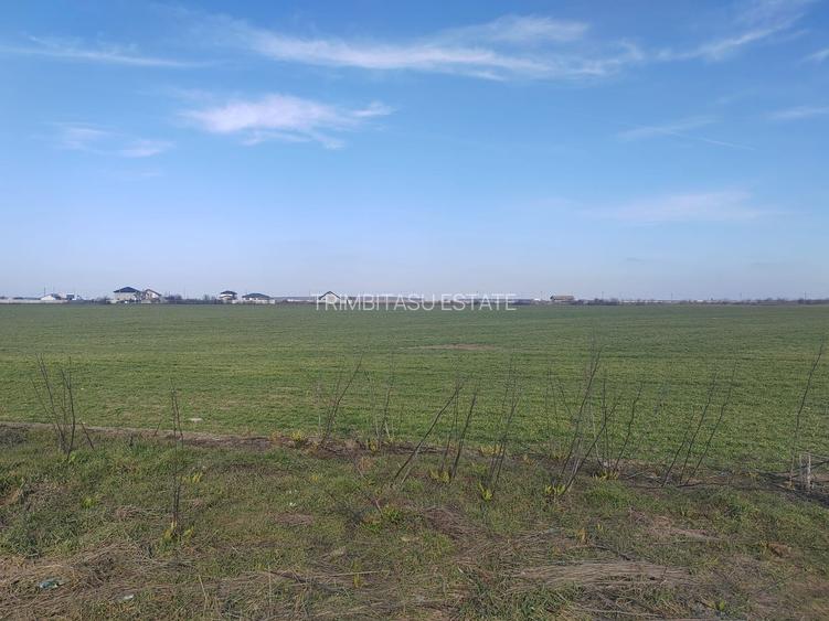 Cernica Tanganu super pret rezidential sau depozitare - 3