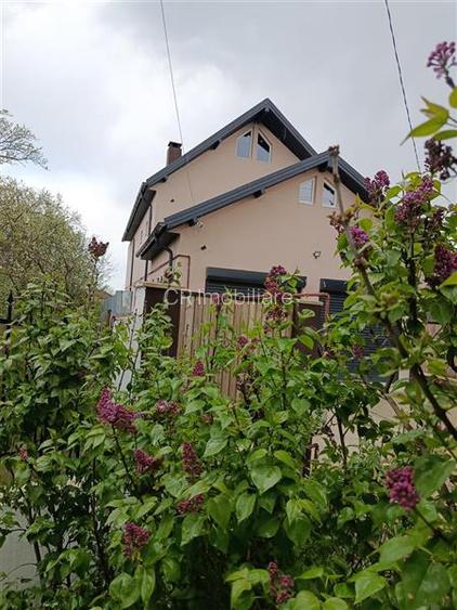 Vila in Izvorani - 8