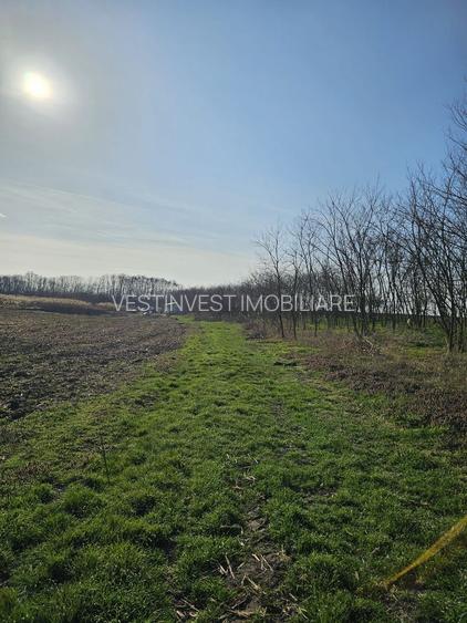 Teren extravilan pentru balastiera Biharia - 2