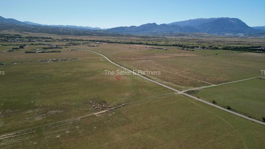 Teren extravilan Rasnov - 3