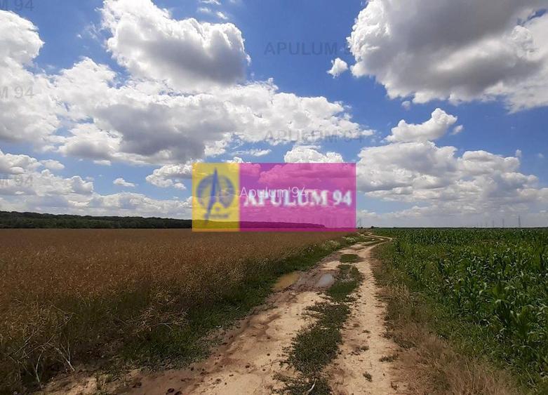Teren 715mp în Snagov lângă Equestria - 43