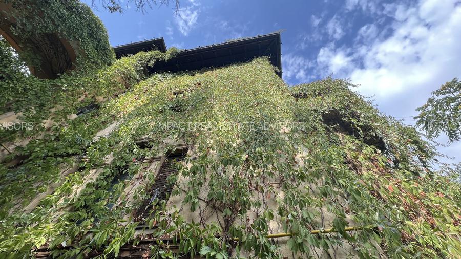 VILA INDIVIDUALA CISMIGIU | INTR. TEMISANA - 13