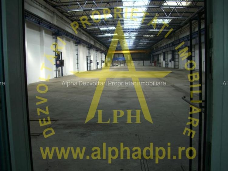 HALĂ sector 3 Republica - 9