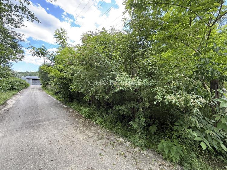 Teren intravilan 683 mp deschidere la strada asfaltata ! - 4