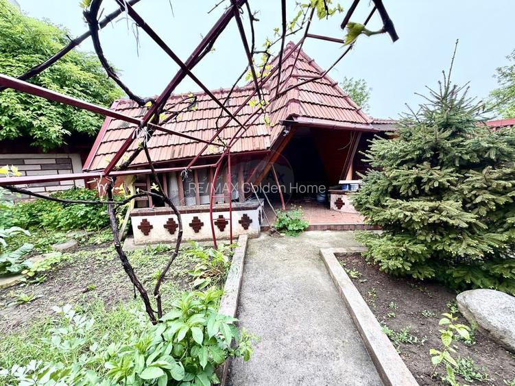 Casă / Vilă de vânzare în Panciu - 38