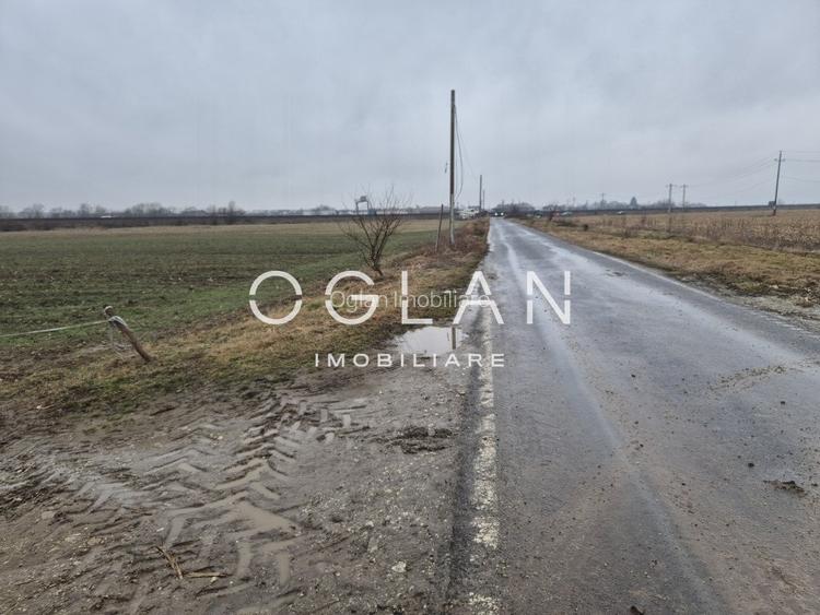 Teren extravilan 11.300 mp, front 39 m, Selimbar - 6