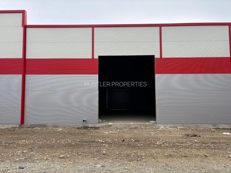 Park Logistic-Jilava - 2