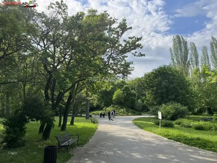 3 camere Grădina Botanică, Cotroceni - 8