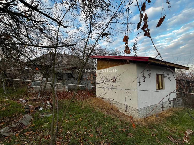 Casă + teren generos de vânzare în Strâmba Jiu - 5