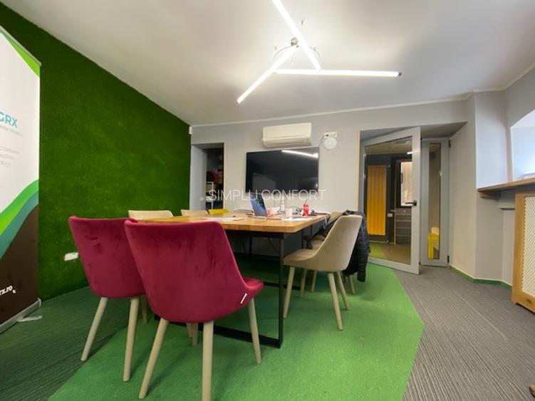 Cismigiu-Mircea Vulcanescu - 2