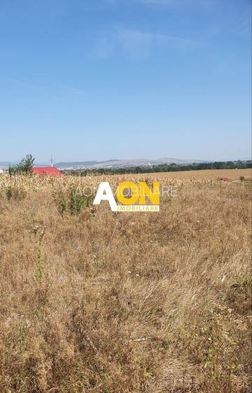 Oportunitate investitie. Oarda de Jos, 16 parcele de 490 mp - 2