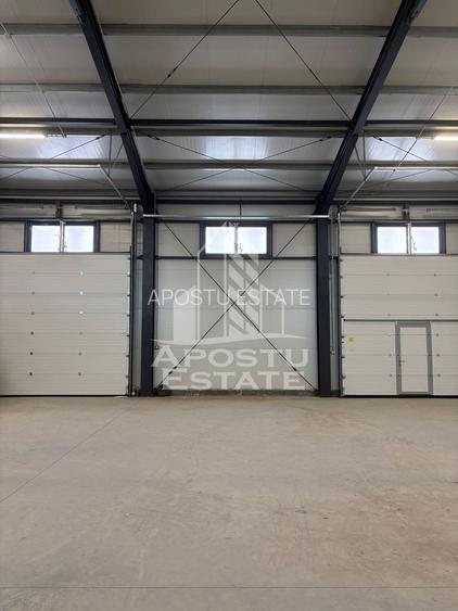 Hala cu acces tir,  300 MP Mosnita noua - 2
