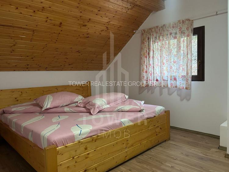 Casă de vacanță în Râu Sadului - 10