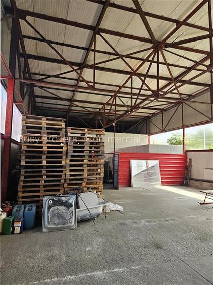 Proprietate Industriala - Productie - Industrie Alimentara - 37