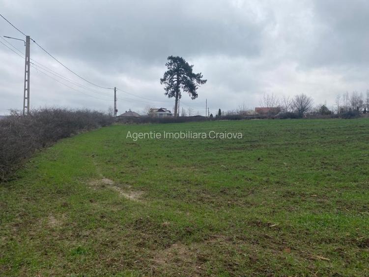 Comision 0%! Panorama superba, intravilan, 7631mp, front stradal 87m - 2